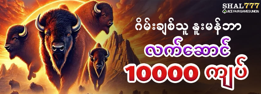 ကျွဲ စလော့ app download