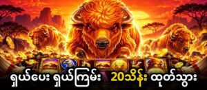 Read more about the article ကျွဲ ဂိမ်း